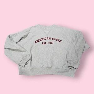 American Eagle Outfitters Light Gray Crewneck Sweater